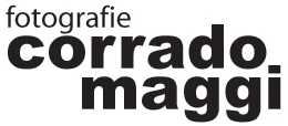 logo corrado maggi