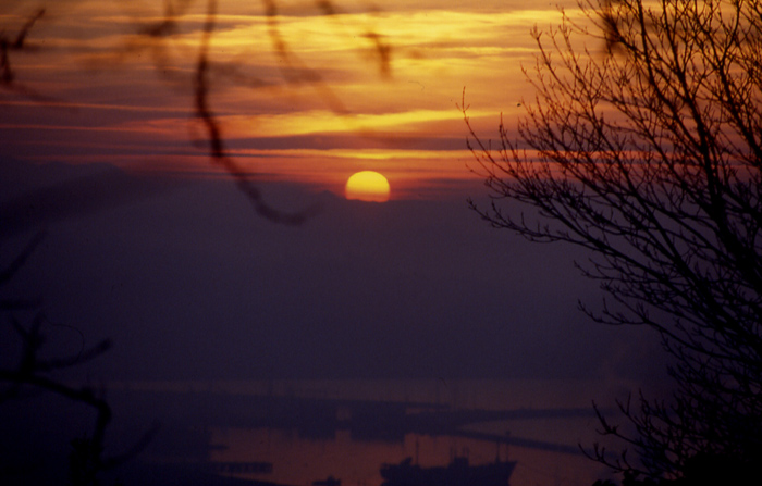 miscellaneous_09