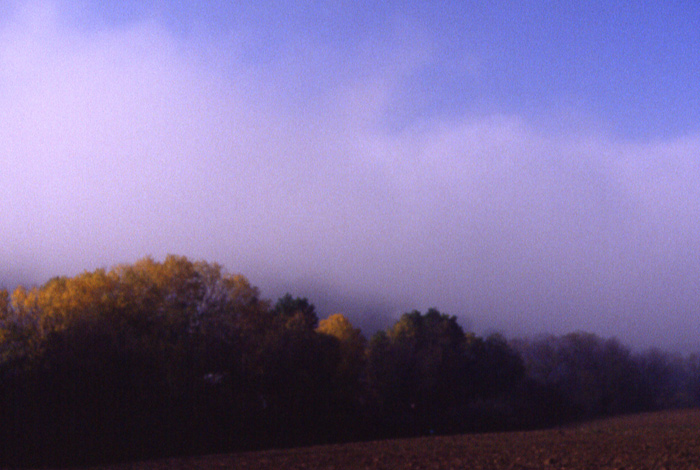 miscellaneous_05