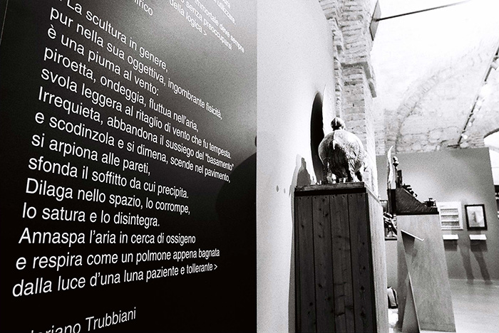 trubbiani_16